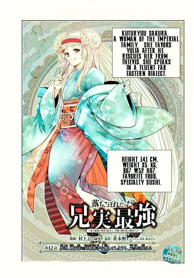 Light Novel Like Ochikobore Datta Ani ga Jitsu wa Saikyou: Shijou Saikyou  no Yuusha wa Tenseishi, Gakuen de Mujikaku ni Musou suru